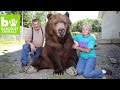 TEASER: Our Big Bear Family