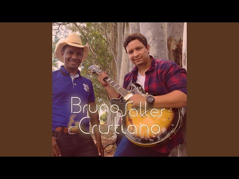O Amor video