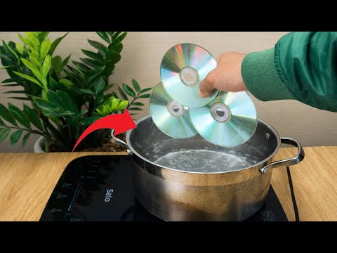 Never Throw Away Your Old CDs! Collect Them and Turn Them into Money