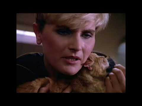 Parody TNG Edit 38 The Pet