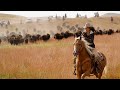 Successful South Dakota Buffalo Roundup