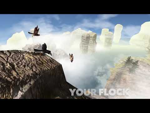 Falcon Simulator Video