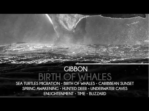 Gibbon - Spring Awakening (Gibbon Reconstruction Mix) [Suffused Music]