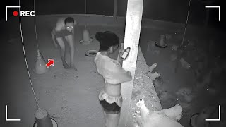 Incredible Moments Caught on Camera… Scenes That Will Absolutely Amaze You!
