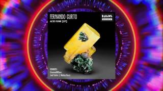 Fernando Curto - Acid Funk (Original Mix) [Bassics Records]