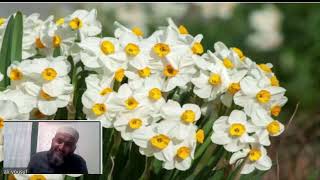 صورة ملحة الإعراب (14) ( الفعل المضارع)