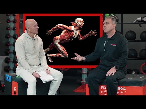 The Fascia System: Everything You Need to Know to Strengthen Your Fascia | Bill Parisi