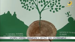 Ինչու՞ է չորացել հայ կինոյի ծառը