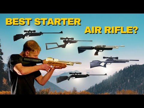 Best Starter Air Rifles: CO2, PCP & Springers Compared