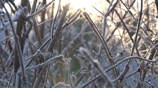 Luminous Touch - from the album "Harmonic Way" - Dean Evenson & Scott Huckabay