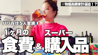 フランススーパー【物価高騰！？】1ヶ月の食費/海外スーパー購入品/ピクニックおすすめ一品