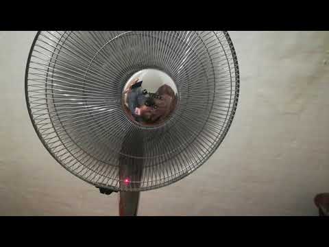 Вентилятор VITEK VT-1909 CH