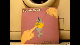 FLOWTRON - "TICKLE MY DOLPHIN" - Face D2