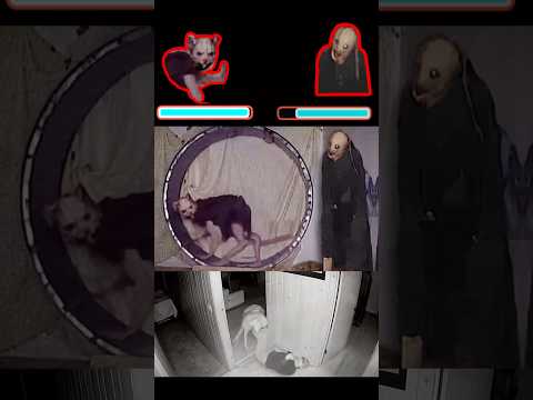 Life of Luxury - Tommy VS Rat BOSS FIGHT But with Healthbars