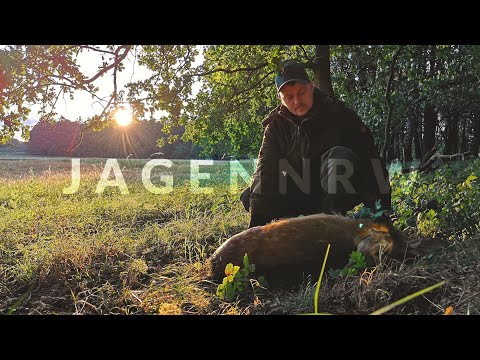 Florians erstes Stück Damwild - Jagd bei den Hunterbrothers - jagenNRW story #11