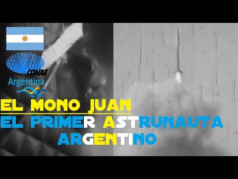 Cuando ARGENTINA envió un mono al ESPACIO