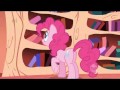 Pinkie Pie barks at a bookshelf for 15 minutes 