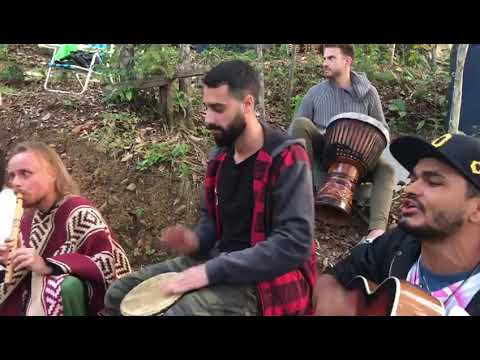 Na Floresta encantada _ Raualisson Sousa #santodaime #ayahuasca