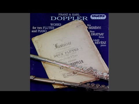 Fantasie sur des motifs hongrois Op. 35