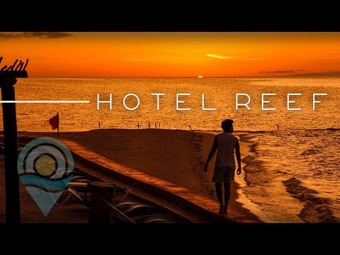Videos del Reef Yucatán  Convention Center 5★ en Telchac Puerto, MéxicoVer MásVerPrecios15CerrarConsulta por Whatsapp 🇦🇷BookingTripadvisorExpediaTravelocityOrbitzPricelineTripSkyscannerDespegarKayakHotelesBestdayDestiniaTrivagoTurismocity