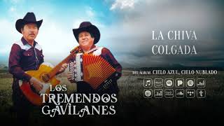 Los Tremendos Gavilanes - La Chiva Colgada (Audio Oficial)
