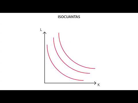B.1 Función de producción | Producción - Microeconomía Video