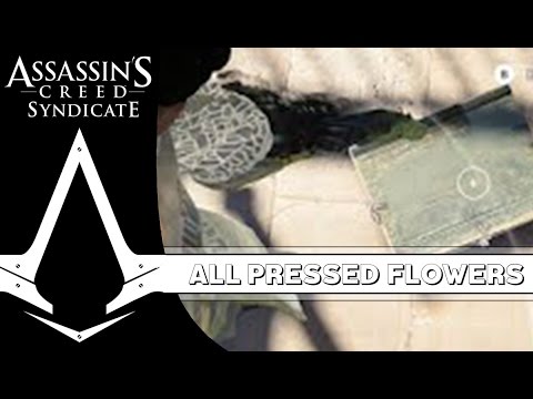 Assassin's Creed Syndicate - All Pressed Flowers (Language of Flowers Achievement) [COGINC]