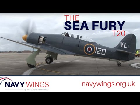 The Sea Fury T20