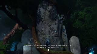 ケーナ精霊の橋を初見プレイ