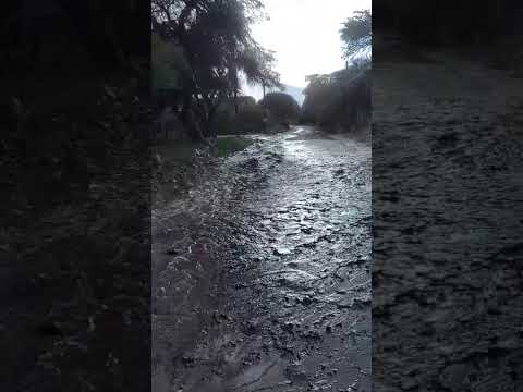 Amaicha del Valle: los caminos en la zona de Los Zazos se llenaron de agua por las lluvias