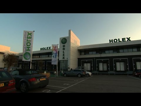 download lagu mp3 mp4 Holex, download lagu Holex gratis, unduh video klip Holex
