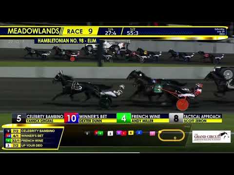 Hambletonian Elimination 2023 - Celebrity Bambino