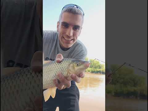CONOCIENDO EL RIO CARCARAÑA, SANTA FÉ. #fishing #fish #lineadepesca #pesca 