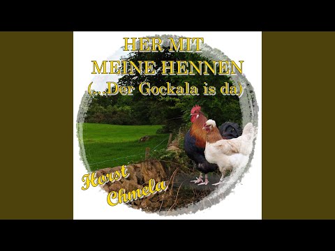 Her mit meine Hennen (Der Gockala)