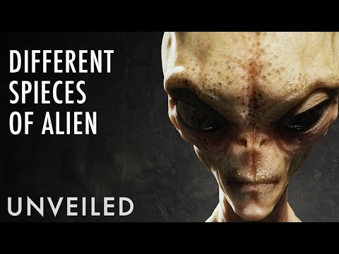 The Different Types Of Alien You Should Know About | Unveiled
