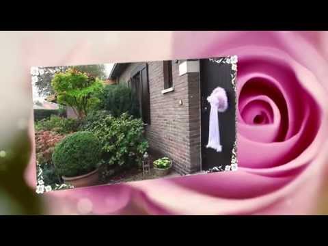 Huwelijk van Brigitte & Walter film trailer