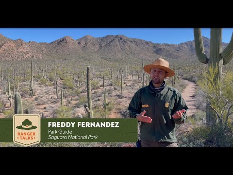 Ranger Talks - Saguaro National Park