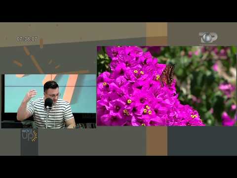 Wake Up, 26 Prill 2018, Pjesa 2 - Top Channel Albania - Entertainment Show