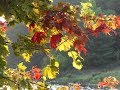 Прекрасная осень Тимур Темиров - Небо над землёй (минус) 