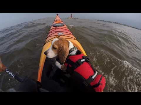 Capt. Jack on the tidal race - GOPRO SEA KAYAKING