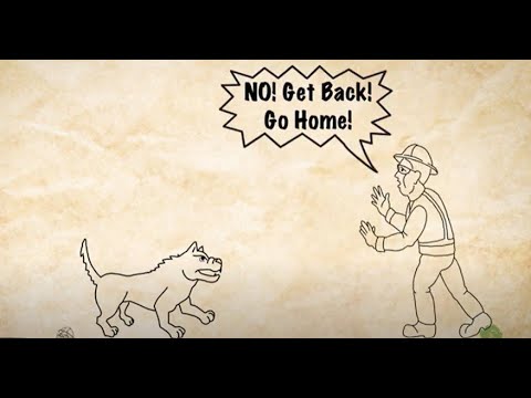 Safety First, Safety Always - Dog Bite Prevention