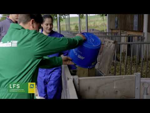 LFS Mistelbach: Praktischer Unterricht Nutztierhaltung