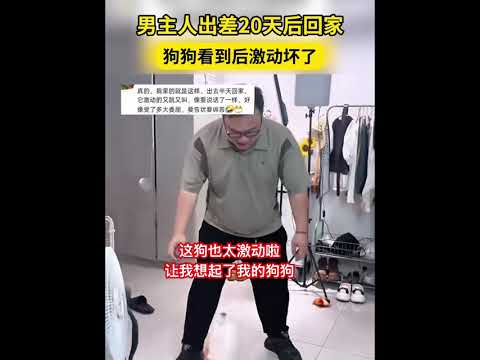 这狗狗太激动啦，让我想起我的狗狗 #狗狗