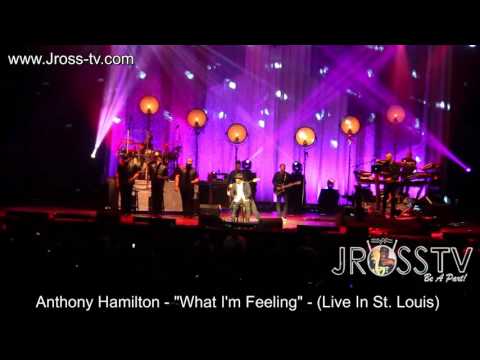 James Ross @ Anthony Hamilton - "What I'm Feeling" - www.Jross-tv.com (St. Louis)