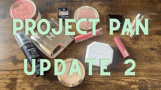 Project 10 Pan Update 2 | March 2025