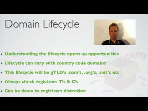 Domain Name Lifecycle