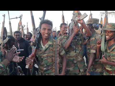 Anih naado bussidima (kasagita front)