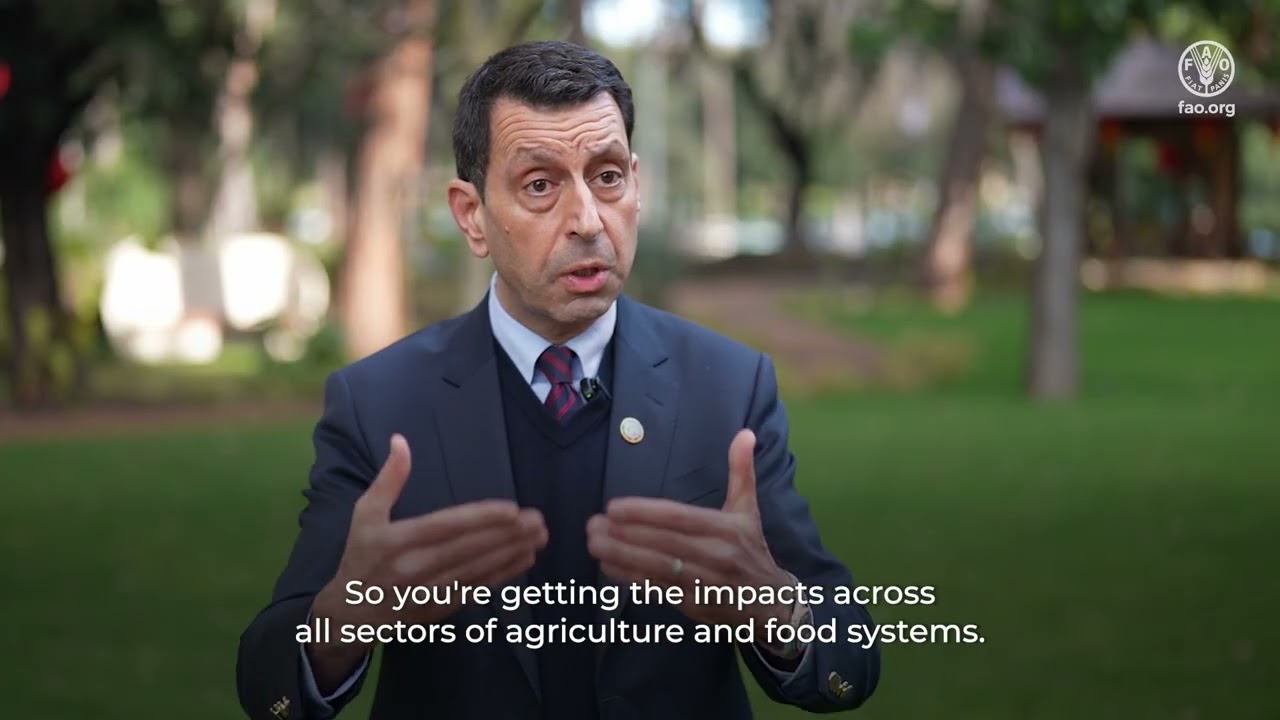 Extreme heat and agriculture: critical findings from the joint FAO-WMO report