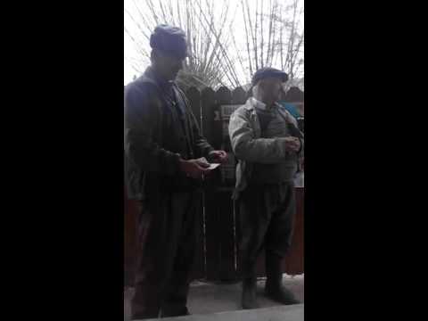 Interlopii din corbsori