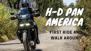 PAN AMERICA SPECIAL - Aussie Blokes First Impressions and WALK AROUND